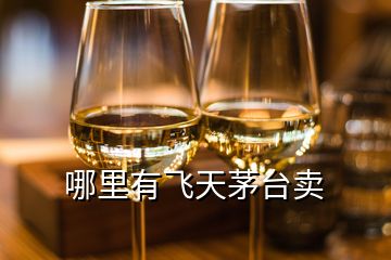 哪里有飛天茅臺賣