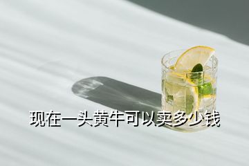 現(xiàn)在一頭黃?？梢再u多少錢