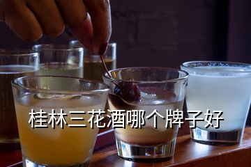 桂林三花酒哪個(gè)牌子好