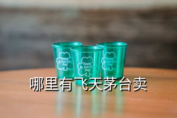 哪里有飛天茅臺賣