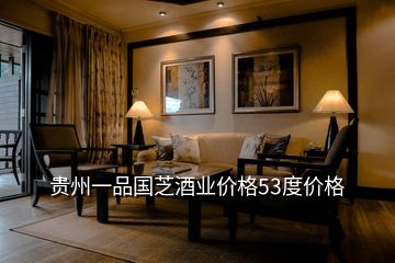 貴州一品國芝酒業(yè)價(jià)格53度價(jià)格