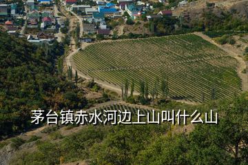 茅臺鎮(zhèn)赤水河邊上山叫什么山