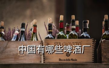 中國(guó)有哪些啤酒廠