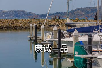 康誠(chéng)一品