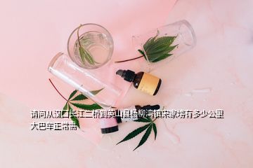 請問從漢囗長江二橋到英山縣楊柳灣鎮(zhèn)宋家塝有多少公里大巴車正常需