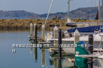 吉林省延邊邊城酒業(yè)有限公司六星級(jí)高麗酒一瓶多少錢(qián)