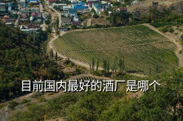 目前國內(nèi)最好的酒廠是哪個