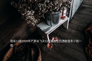 我有12瓶2009年產(chǎn)茅臺(tái)飛天53度醬香型白酒能值多少錢(qián)一瓶