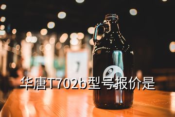 華唐T702b型號報(bào)價(jià)是