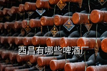西昌有哪些啤酒廠(chǎng)