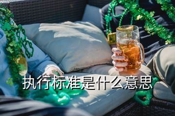執(zhí)行標準是什么意思