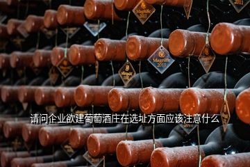 請問企業(yè)欲建葡萄酒莊在選址方面應該注意什么