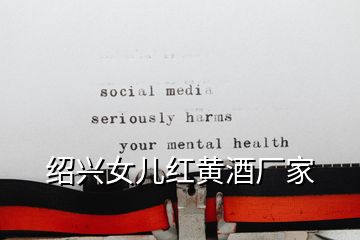 紹興女兒紅黃酒廠家