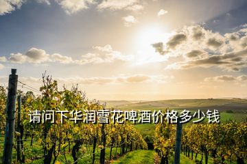 請(qǐng)問下華潤(rùn)雪花啤酒價(jià)格多少錢