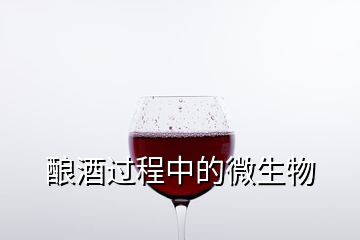 釀酒過(guò)程中的微生物