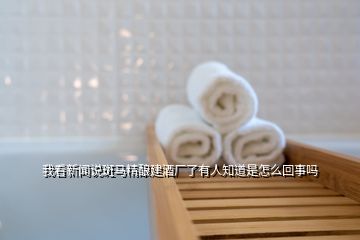 我看新聞說斑馬精釀建酒廠了有人知道是怎么回事嗎