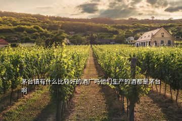 茅臺鎮(zhèn)有什么比較好的酒廠嗎他們生產(chǎn)的酒都是茅臺啊
