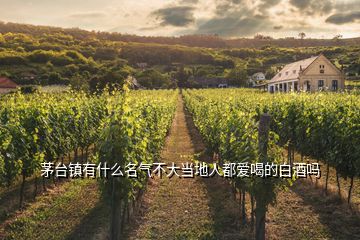 茅臺鎮(zhèn)有什么名氣不大當?shù)厝硕紣酆鹊陌拙茊?></p>
<h2 id=
