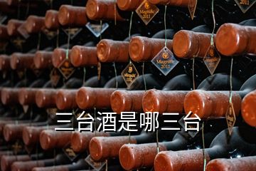 三臺(tái)酒是哪三臺(tái)