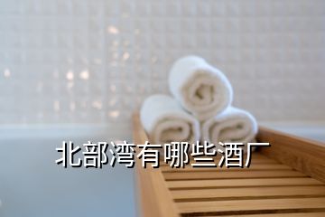 北部灣有哪些酒廠