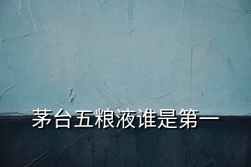 茅臺五糧液誰是第一