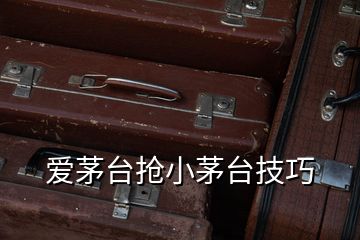 愛(ài)茅臺(tái)搶小茅臺(tái)技巧