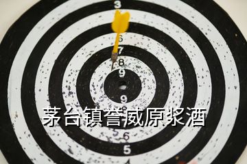 茅臺鎮(zhèn)譽(yù)威原漿酒