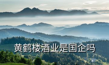 黃鶴樓酒業(yè)是國(guó)企嗎