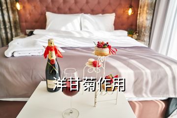 洋甘菊作用