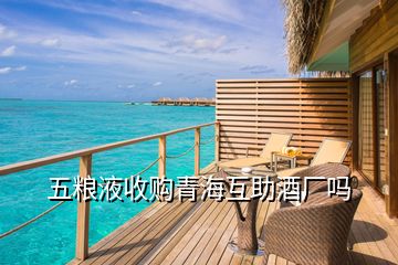 五糧液收購(gòu)青?；ブ茝S嗎