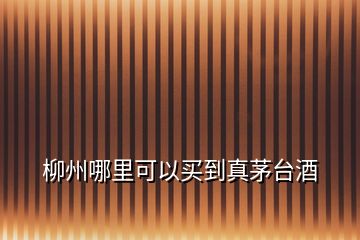 柳州哪里可以買(mǎi)到真茅臺(tái)酒