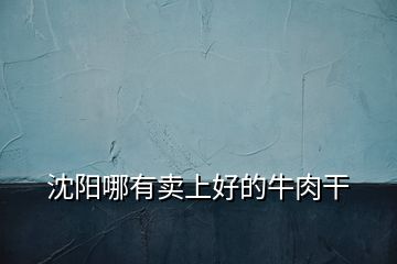 沈陽(yáng)哪有賣上好的牛肉干