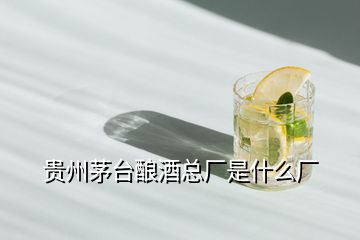 貴州茅臺(tái)釀酒總廠是什么廠
