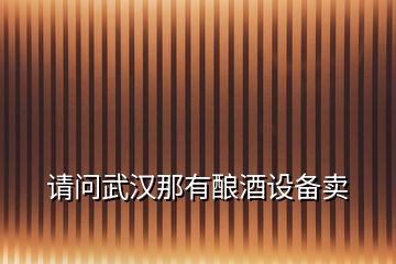 請問武漢那有釀酒設(shè)備賣