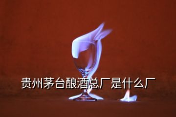 貴州茅臺釀酒總廠是什么廠