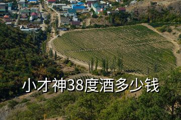 小才神38度酒多少錢(qián)