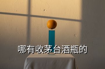 哪有收茅臺酒瓶的