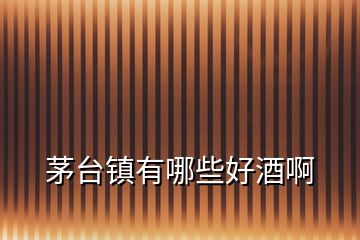 茅臺(tái)鎮(zhèn)有哪些好酒啊