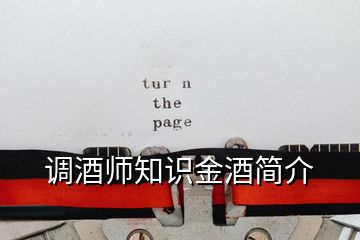 調(diào)酒師知識(shí)金酒簡(jiǎn)介