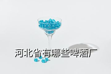 河北省有哪些啤酒廠