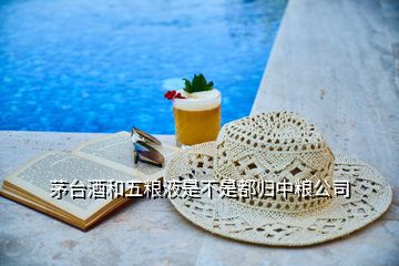 茅臺酒和五糧液是不是都歸中糧公司