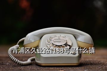 青浦區(qū)久業(yè)路1188號是什么鎮(zhèn)