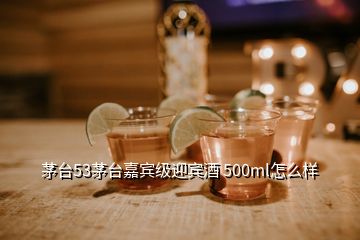 茅臺(tái)53茅臺(tái)嘉賓級迎賓酒 500ml怎么樣
