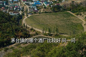 茅臺(tái)鎮(zhèn)的哪個(gè)酒廠比較好 問一問