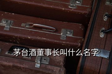 茅臺(tái)酒董事長叫什么名字