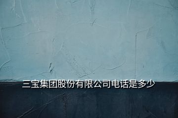 三寶集團股份有限公司電話是多少