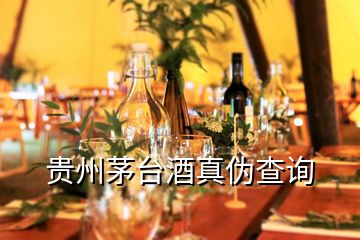 貴州茅臺酒真?zhèn)尾樵?></p>
<h2 id=