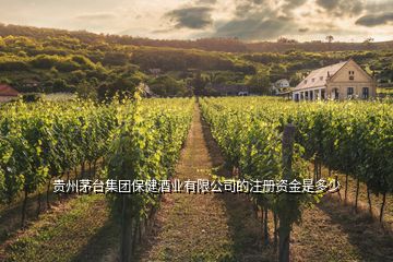 貴州茅臺集團保健酒業(yè)有限公司的注冊資金是多少
