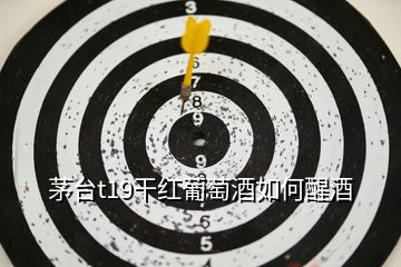 茅臺(tái)t19干紅葡萄酒如何醒酒