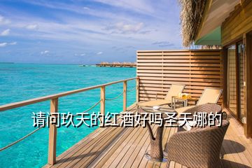 請問玖天的紅酒好嗎圣天娜的